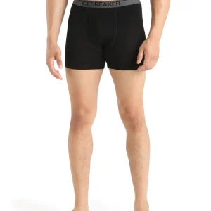 Men's Merino 150 Anatomica Boxers with Fly
