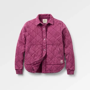 Clementine Stepphemd - Feige