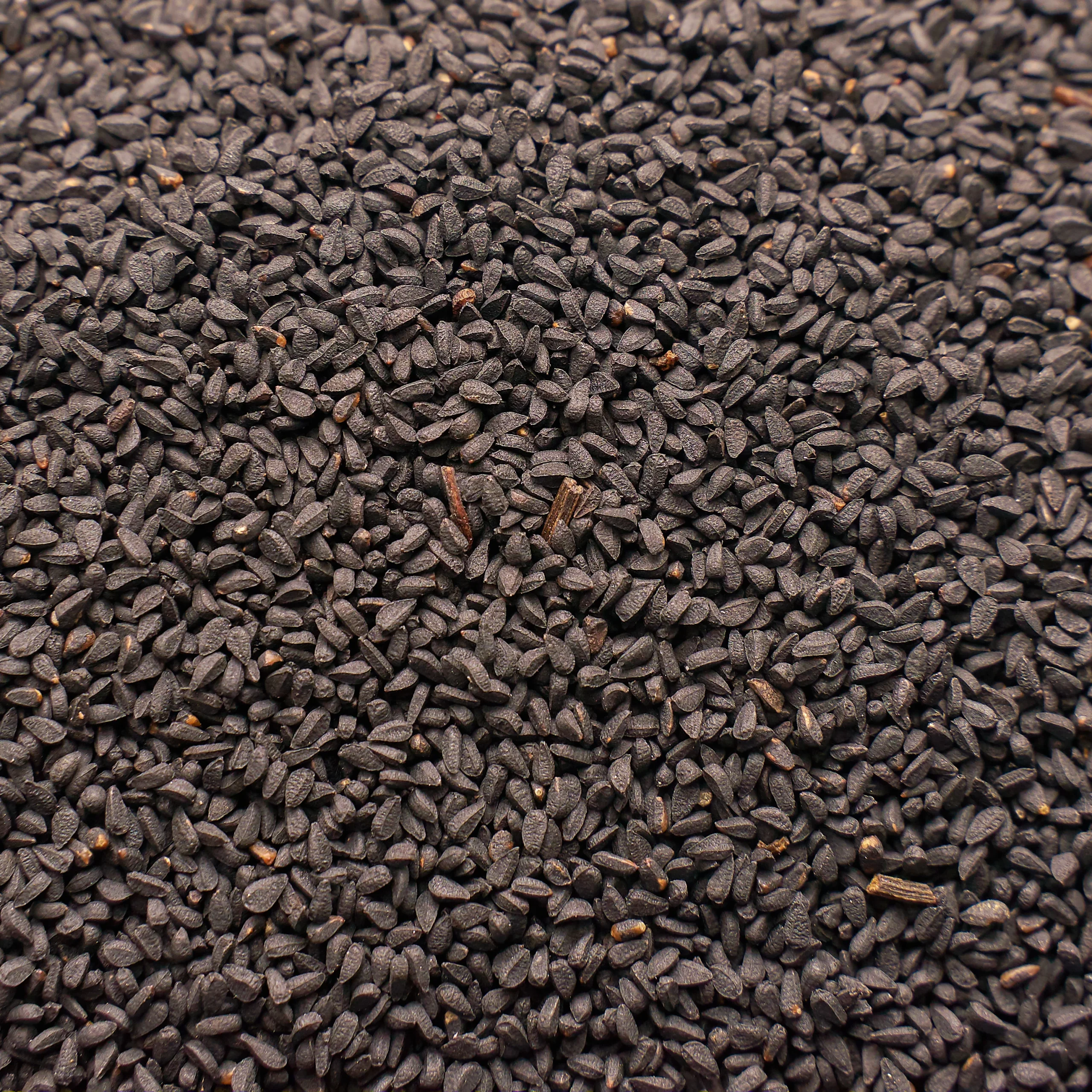 Schwarzkümmel Samen können zur Unterstützung des Abwehrsystems beitragen – Bild 4