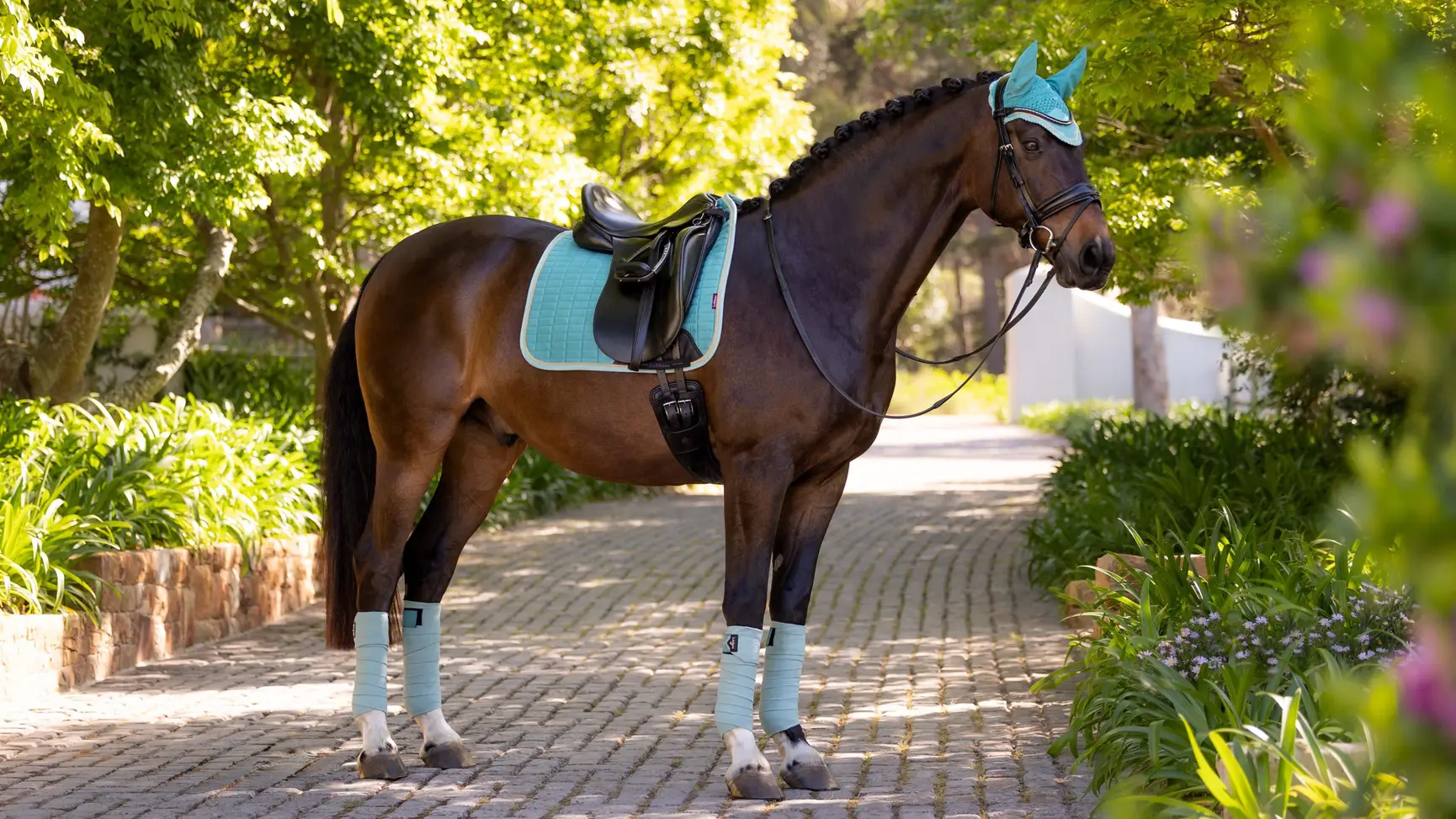 LeMieux - Neu Suede Lagoon Dressur/Springen – Bild 5