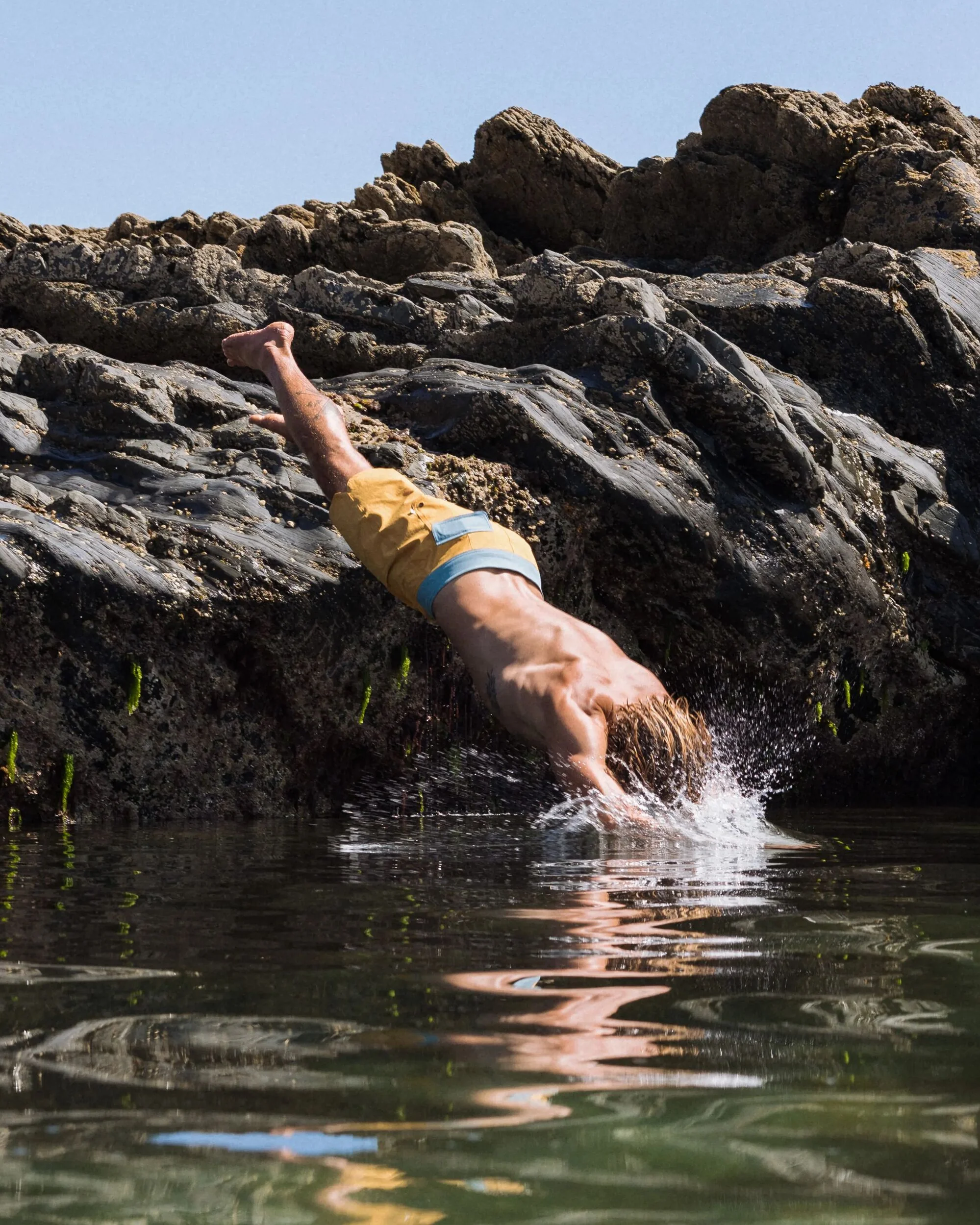 Cruiser NetPlus® 19" Boardshorts - Fichten Gelb – Bild 6